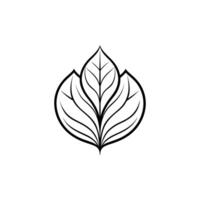 A black and white drawing of a leaf vector