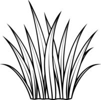 A black and white drawing of grass vector