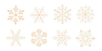 Set of various winter snowflakes vector