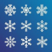 Different Type Of Snowflakes Icon Set. vector