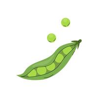 Green pea pod with peas on a white background showcasing fresh produce and healthy eating vector