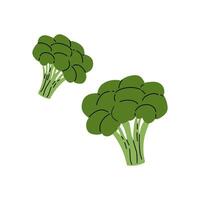 Fresh green broccoli clusters displayed on a white background, ideal for healthy cooking and meals vector