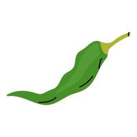Fresh green chili pepper isolated on a white background ready for culinary use in dishes vector