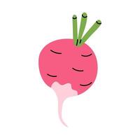 A colorful illustration of a radish with green leaves and a pink body on a simple background vector