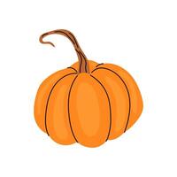 Bright orange pumpkin with a curved stem in a simple design on a plain background vector