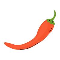 Bright red chili pepper on a white background showcasing its vibrant color and shape vector