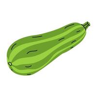 Fresh, vibrant green zucchini with a smooth surface and subtle stripes lying on a white background vector