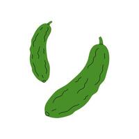 Two green cucumbers resting side by side on a plain background during bright daylight vector