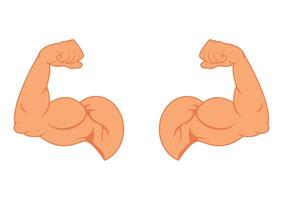 Two Bicep muscle flexing flat design isolated on white background. Two muscle arms vector