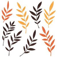 Collection of autumn leaves. Stylized leaves in flat style. vector