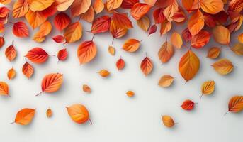 Scattered Autumn Leaves on a White Background photo