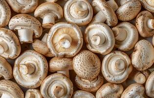 Closeup of Fresh White Button Mushrooms for Cooking photo