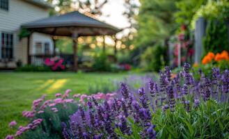 Purple Lavender Blooms in a Summer Garden With a Gazebo in the Background photo