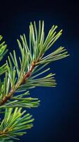 A close up look at a pine branch showcasing fresh needles and pine cones against a dark background photo
