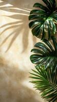 Lush green plant casting shadows on a textured golden wall in a bright indoor setting photo