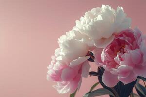 Beautiful bouquet of peonies in shades of pink and white against a soft pastel background photo