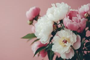 Beautiful bouquet of peonies in shades of pink and white against a soft pastel background photo