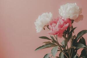 Beautiful bouquet of peonies in shades of pink and white against a soft pastel background photo