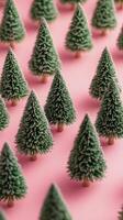 Miniature evergreen trees arranged on a soft pink surface with uniform spacing in daylight photo
