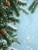 Snow covered pine branches with pine cones and soft glowing lights during a winter evening photo