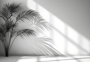 Elegant palm leaves casting shadows on a textured wall in natural light during the afternoon photo
