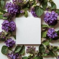 Elegant arrangement of purple flowers and blank space for creative projects on white background photo