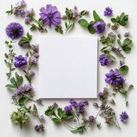 Elegant arrangement of purple flowers and blank space for creative projects on white background photo