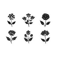 Stylish designs for creative projects and digital products vector