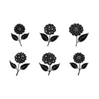 High-quality Lantana graphics, perfect for creative digital projects vector