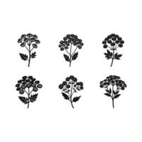 Explore unique yarrow and line art for your creative projects vector