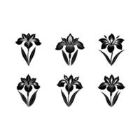 Elegant art of Japanese iris for your creative projects vector