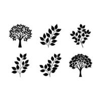 Explore unique eucalyptus and line art designs for your creative projects vector