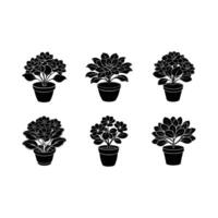 Explore unique Kalanchoe designs created with for your projects vector