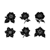 Unique Gloxinia designs for creative projects, crafted with vector
