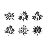 Stunning Witch Hazel Graphics for and Line Art Designs vector