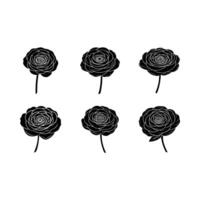 Stunning ranunculus flower art for your creative designs and projects vector