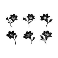 Explore unique designs for all your graphic needs vector