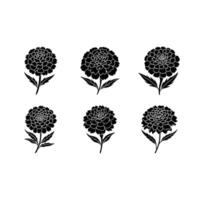 Stunning Marigold Graphics for Design Projects vector