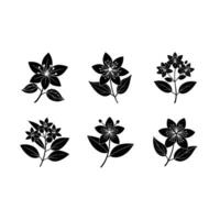 Explore beautiful Hypericum designs created with for your projects vector