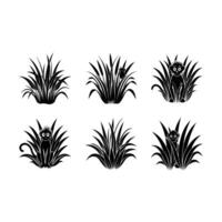 Explore unique monkey-grass designs created with for your projects vector