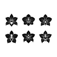 Explore stunning orchid graphics created with for your projects vector