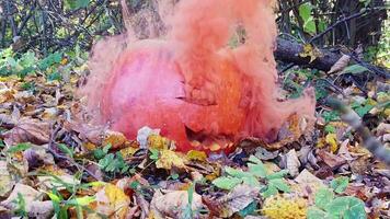 close up of a carved pumpkin for halloween with smoke coming out of the cut outs video