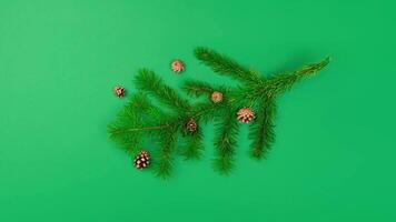 Tree branch with cones and mountain ash. New Year and Christmas content green background stop motion animation 4k video