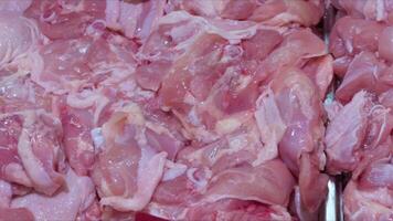 Close up of raw chicken meat on display in store video
