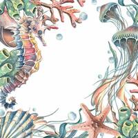 Seahorse, jellyfish seashell, coral, starfish, sea sponge, algae, pebbles and bubbles. Hand drawn watercolor illustration of sea animals and the underwater. Template, frame square for the text. vector