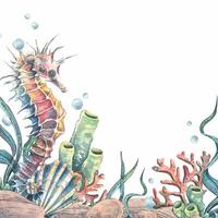 Seahorse, jellyfish, seashell, coral, starfish, sea sponge, algae, pebbles and bubbles. Hand drawn watercolor illustration of sea animals and the underwater. Template frame square for the text. vector
