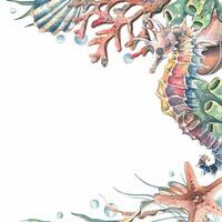 Seahorse, seashell, coral, starfish, sea sponge, algae, pebbles and bubbles. Hand drawn watercolor illustration of sea animals and the underwater. Template, frame square for the text. vector