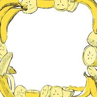 Fresh ripe yellow banana square frame. graphic hand drawn illustration, isolated on white background vector
