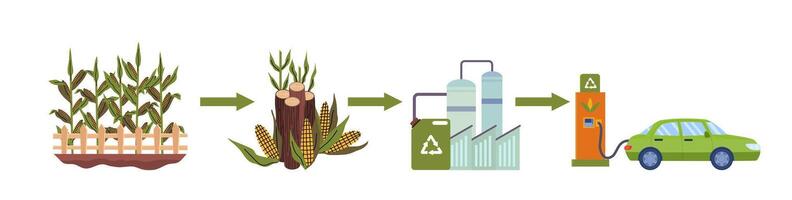 Cartoon Color Biofuel Life Cycle Elements Set. vector