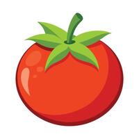 Tomato red vegetables white isolated background vector